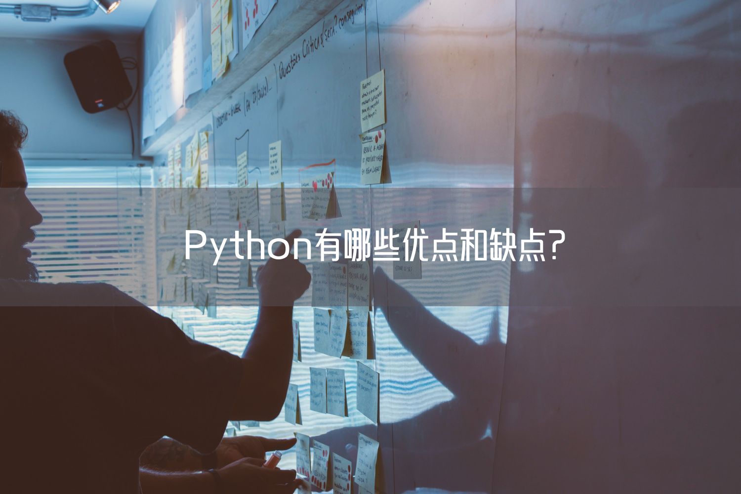  Python有哪些优点和缺点？